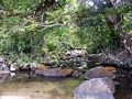 Creek in the Masoala Peninsula (Masoala NP)
