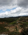 Rice fields between Andasibe and Tana (RN2) [RN2_rice-0107]