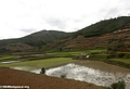 Rice fields between Andasibe and Tana (RN2) [RN2_rice-0110]