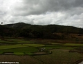 Rice fields between Andasibe and Tana (RN2)