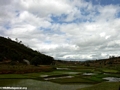 Rice fields between Andasibe and Tana (RN2) [RN2_rice-0122]