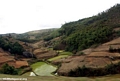 Rice fields between Andasibe and Tana (RN2) [RN2_rice-0123]