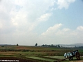 Empty zebu cart in rice field near Tana (RN7)