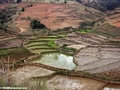 Rice fields of Malagasy highlands (RN7)