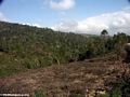 Deforestation in Madagascar (RN7)