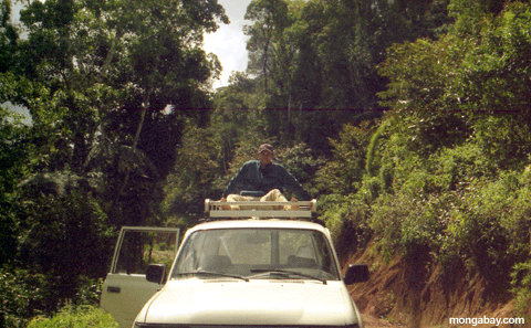 Rhett atop car (Perinet)