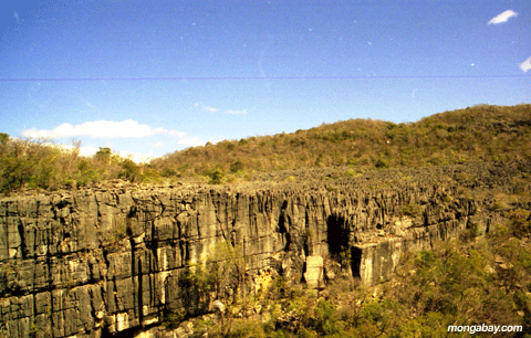 Ankarana Tsingy landscape (Ankarana)