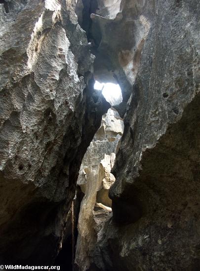 petite tsingy canyon (Tsingy de Bemaraha)