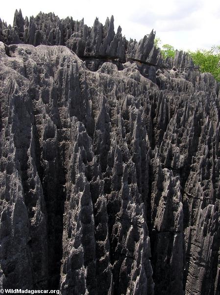 Limestone tsingy (Tsingy de Bemaraha) [tsingy_1]