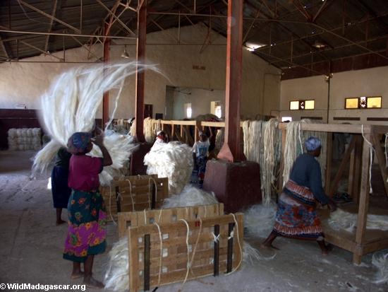 Andranobory sisal workers (Berenty) [sisal0194]