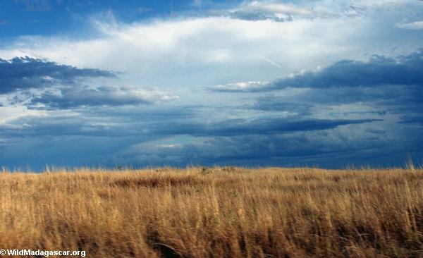 Malagasy grasslands (Isalo)