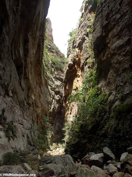 Canyon des rats in Isalo NP (Isalo) [canyon_des_rats0005]