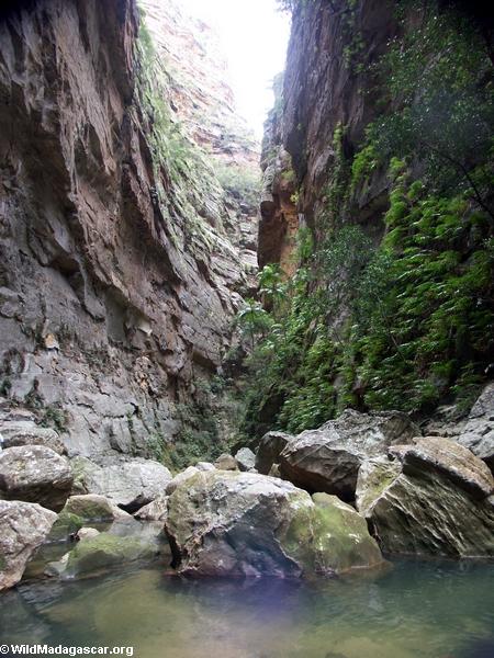 Canyon des rats in Isalo NP (Isalo) [canyon_des_rats0015]