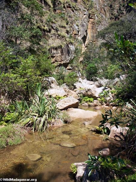 Canyon des Singes in Isalo NP (Isalo) [canyon_des_rats067]