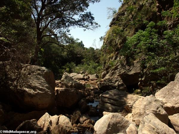 Canyon des Singes in Isalo NP (Isalo) [canyon_des_rats074]