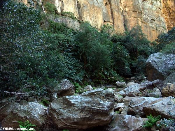 Canyon des Singes in Isalo NP (Isalo) [canyon_des_rats077]