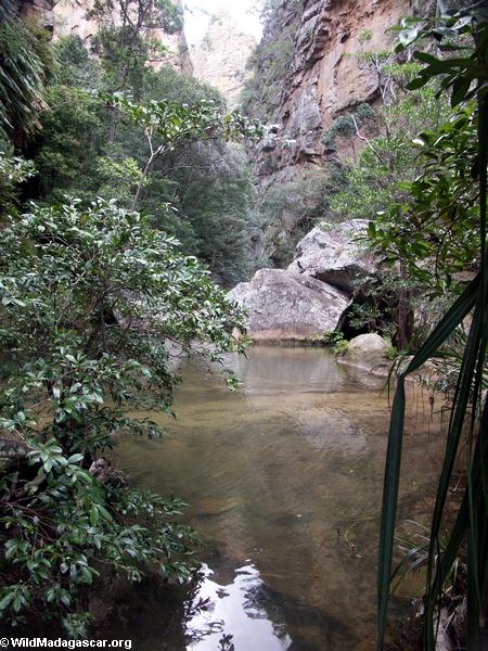 Canyon des Singes in Isalo NP (Isalo) [isalo_singes0115]