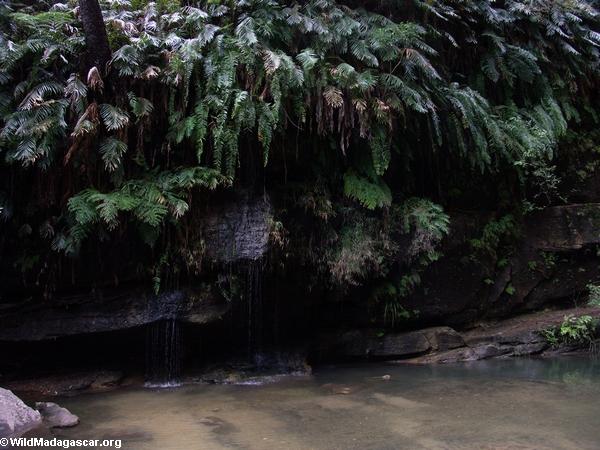 Ranohira Falls (Isalo) [isalo_singes0118]