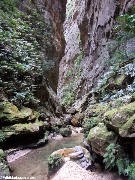 Canyon des Singes in Isalo NP (Isalo) [isalo_singes0161]