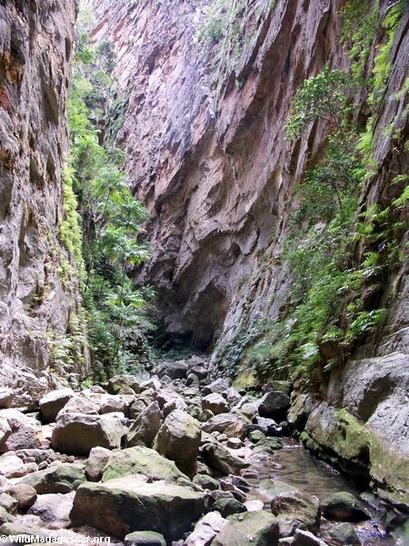 Canyon des Singes in Isalo NP (Isalo) [isalo_singes0166]
