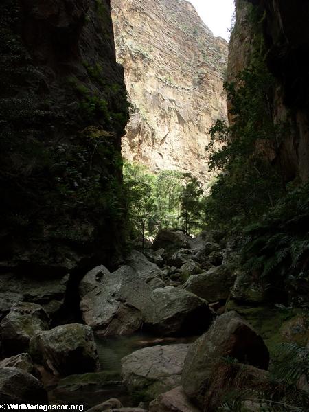 Canyon des Singes in Isalo NP (Isalo) [isalo_singes0168]