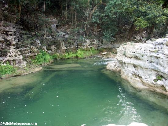 Natural swimming hole on Oly creek (Manambolo)