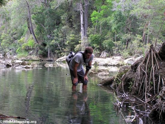 Rhett looking at Aponogeton (Manambolo)