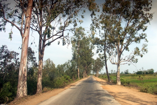 National road heading toward Morondava (Morondava)