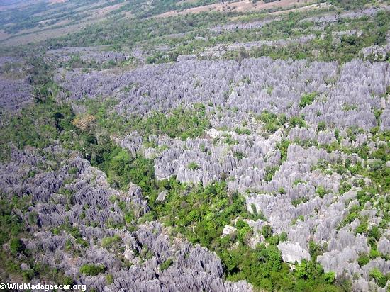 Plane view of Tsingy de Bemaraha (Tsingy de Bemaraha) [tsingy_aerial_view_19]