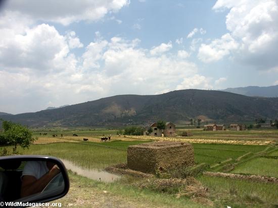 Rice fields of Malagasy highlands (RN7) [tana-rano_0107]