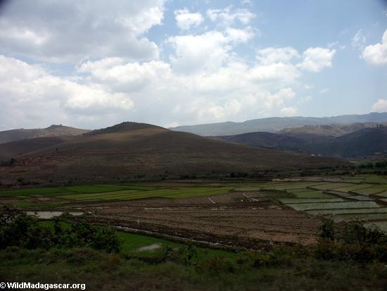Rice fields of Malagasy highlands (RN7) [tana-rano_0111]