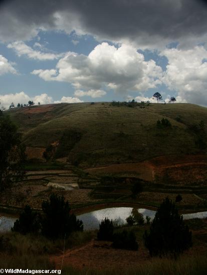 Rice fields of Malagasy highlands (RN7) [tana-rano_0157]