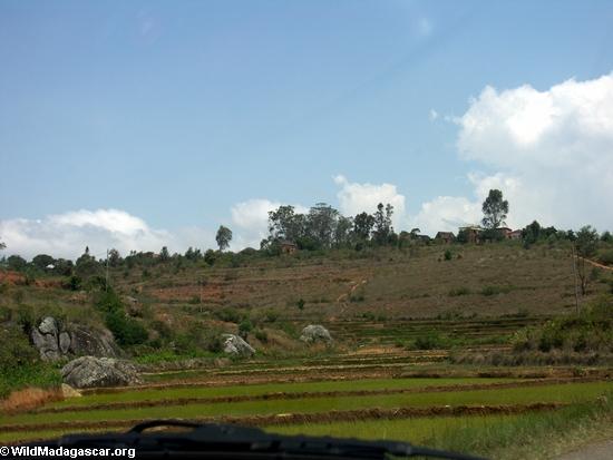 Rice fields of Malagasy highlands (RN7) [tana-rano_0169]