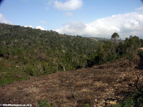 Deforestation in Madagascar (RN7) [tana-rano_0200]