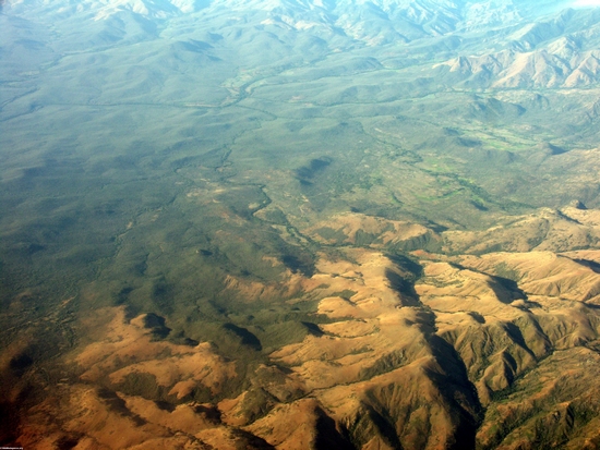 Aerial view of dry forest (Fort Dauphin - Tana Flight) [ftdaph-tana_flight0033]
