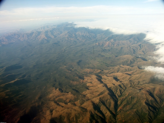 Aerial view of dry forest (Fort Dauphin - Tana Flight) [ftdaph-tana_flight0034]