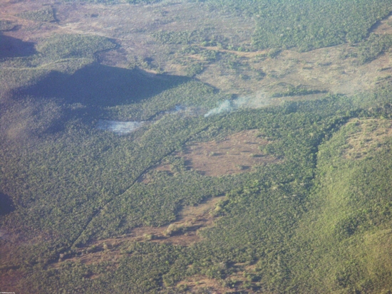 Aerial view of dry forest (Fort Dauphin - Tana Flight) [ftdaph-tana_flight0039]