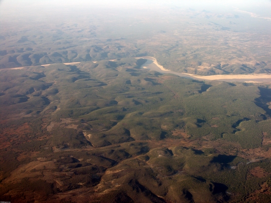 Aerial view of dry forest (Fort Dauphin - Tana Flight) [ftdaph-tana_flight0040]