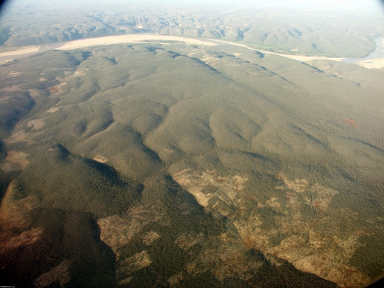 Aerial view of dry forest (Fort Dauphin - Tana Flight) [ftdaph-tana_flight0045]