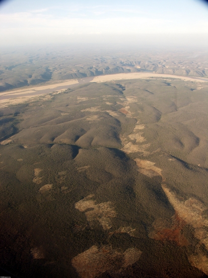 Aerial view of dry forest (Fort Dauphin - Tana Flight) [ftdaph-tana_flight0046]