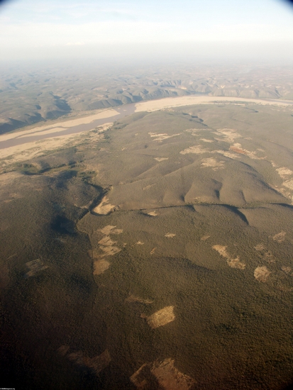 Aerial view of dry forest (Fort Dauphin - Tana Flight) [ftdaph-tana_flight0047]