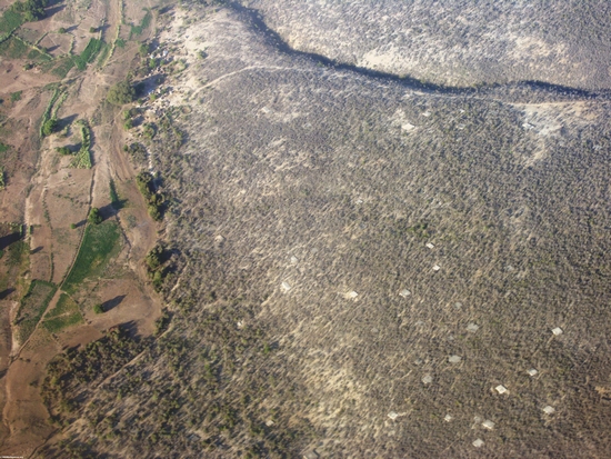 Aerial view of dry forest (Fort Dauphin - Tana Flight) [ftdaph-tana_flight0048]